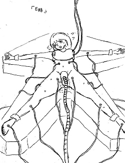 EA-031